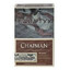 CHAPMAN