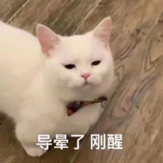 不会再爱狗勾了