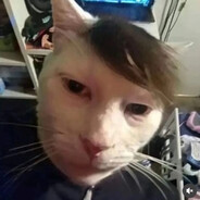 下雨天了怎么办