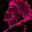 Vexar