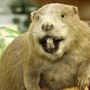 krixx avatar