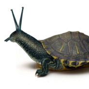 snurtle man