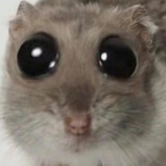 Внештатная мышь