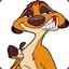 timon1007