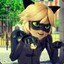 Cat Noir