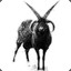 blackgoat_