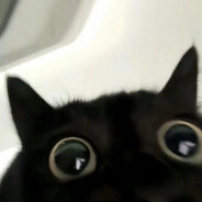 急支糖浆拌豆腐