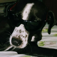 tyr