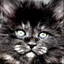 BlackWidowBaby