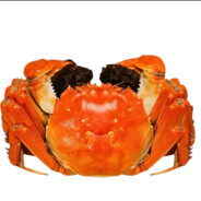 螃蟹就吃二两母