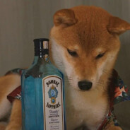 可惜我是水瓶座