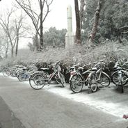 打支付宝送一血