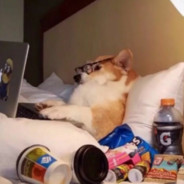 她说万幸得以相识