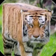 Яичный желток💔