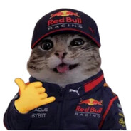 FRANZ HERMANN Steam avatar