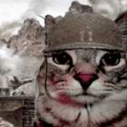 Bomb1la - steam id 76561199840294058