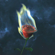 爬进点是我最后的倔强