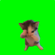 scuba