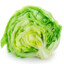 Half a head of Lettuce