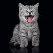 Vako - steam id 76561198408309631