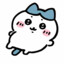 为什么不问问柒柒呢