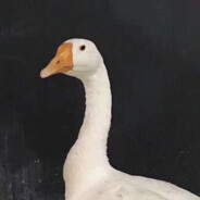 0DD