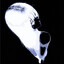 phantom使