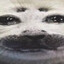 NoobSlayerPK