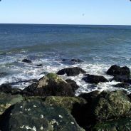 45calibur - steam id 76561197960549948