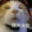 无敌霸王龙
