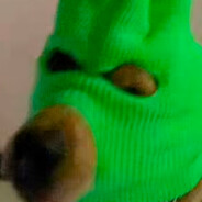 揭開他們的面紗