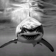 ➢ Shark