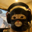 Avatar of Sib