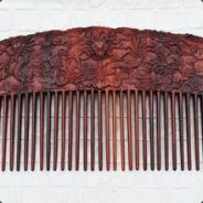 亚里士多德的梳子