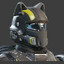 Democracy Cat