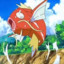 Magikarp