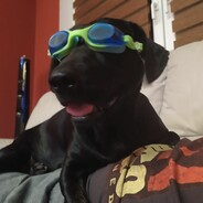 caramel avatar