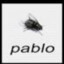 pablo