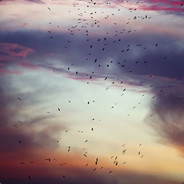 大风越狠丶❤越荡