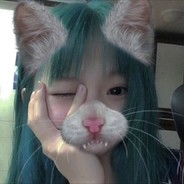 天才美少女可崽