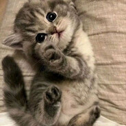 капиталист