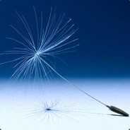 悍匪都是小宝贝