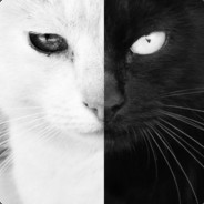 我是一只很懒的猫