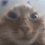 #1 Krösche Groupie's avatar