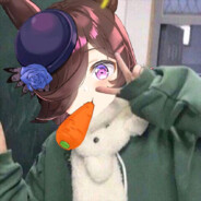 赤鸢仙人，我没有说谎