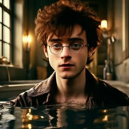 Harry P0T(уж)NЫЙ