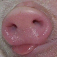 窜稀窜到骨瘦如柴