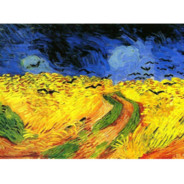 乌鸦群飞的麦田