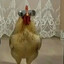 Burak