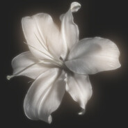 soul s - steam id 76561198159373355